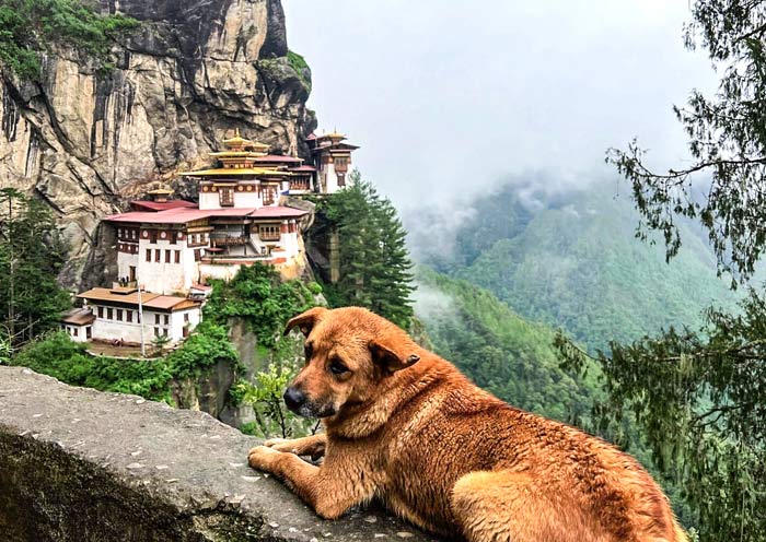 4 Days Bhutan Tour from Nepal - Kathmandu to Paro & Thimphu 