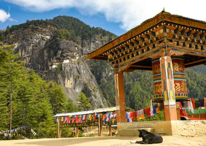 Street Dog and Tiger's Nest, Bhutan Street Dog and Tiger's Nest, Bhutan