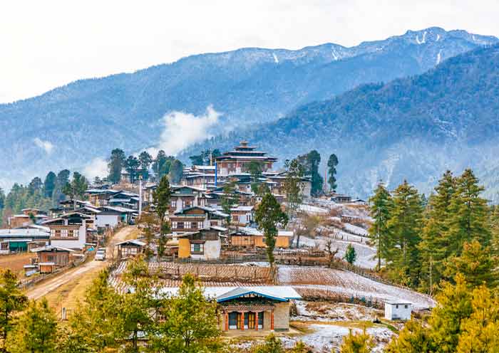 Wangdue Phodrang & Gangtey Tours 