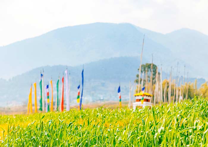 Punakha Weather