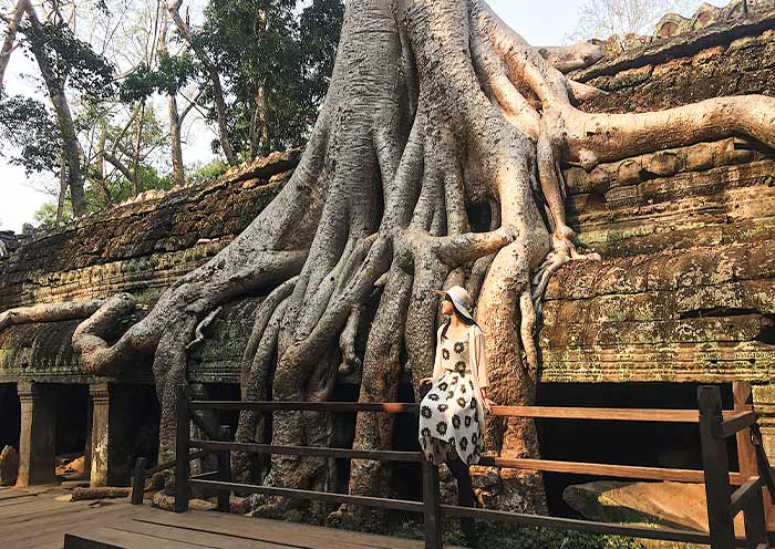 The Ta Prohm Amidst Jungle