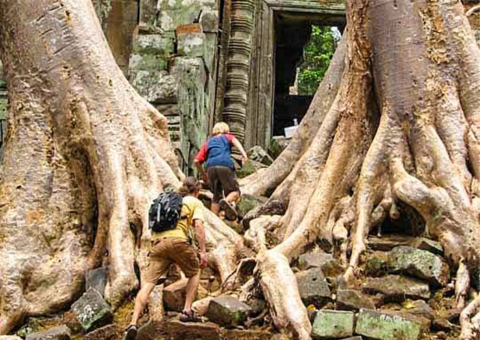 Exploring the Wild Charm of Beng Mealea