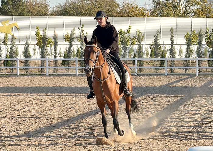 Akhal-Teke Horse Stables