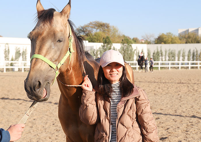 Akhal-Teke Horse Stables