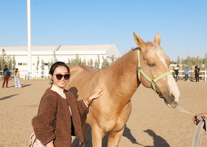 Akhal-Teke Horse Stables