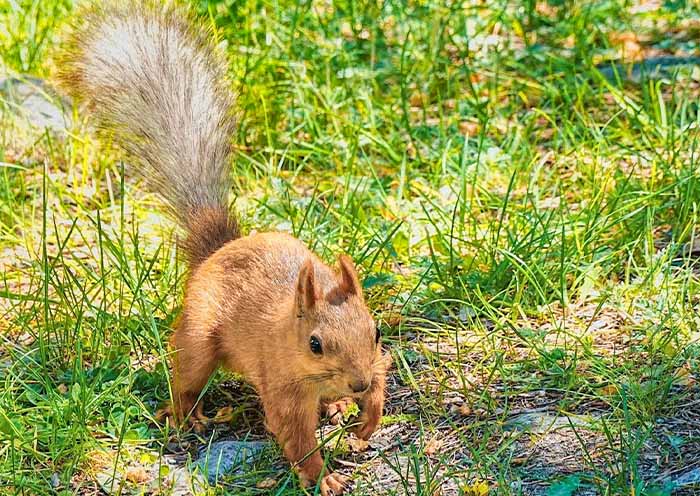 Ala Archa National Park