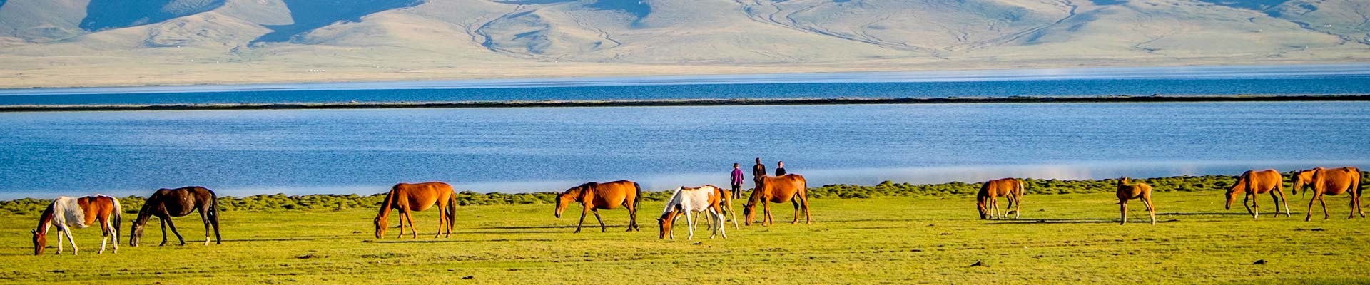 Tailor Make Your Central Asia Tours 