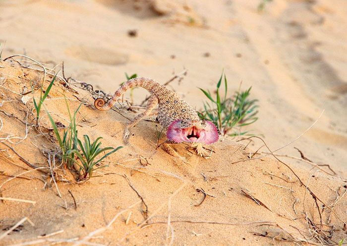 Darvaza Gas Crater Darvaza Gas Crater