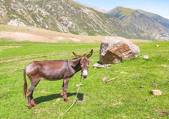 Grigorievskoye Canyon