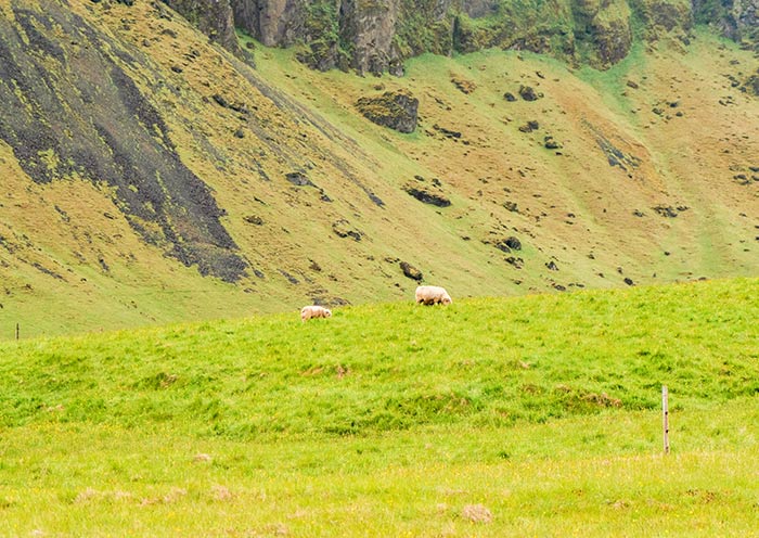 Gorges, Canyons and Valleys of Kyrgyzstan