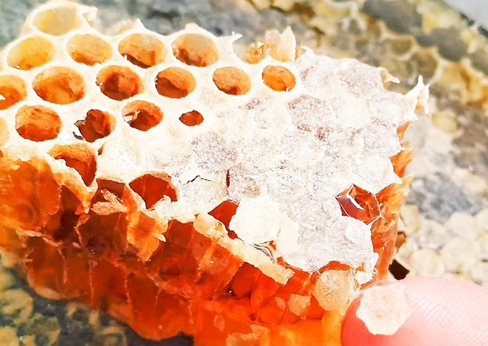 White Honey, One of the Best Things to Buy in Kyrgyzstan