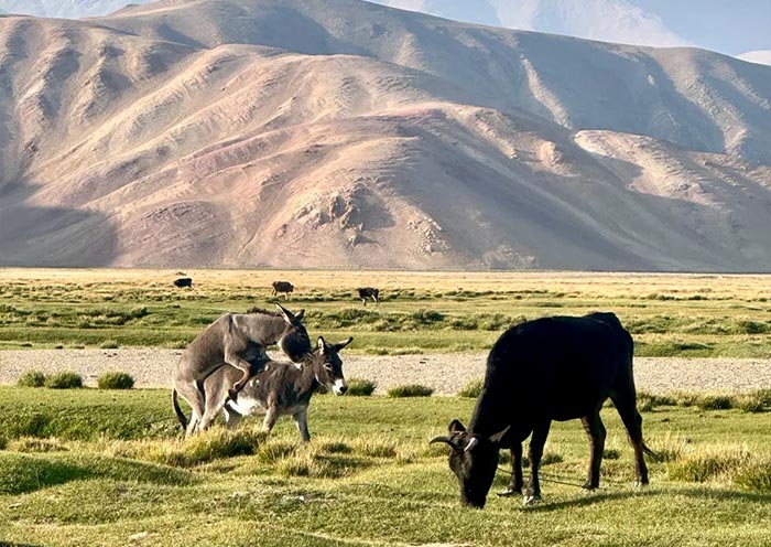 Bulunkul Lake alongside the Pamir Highway