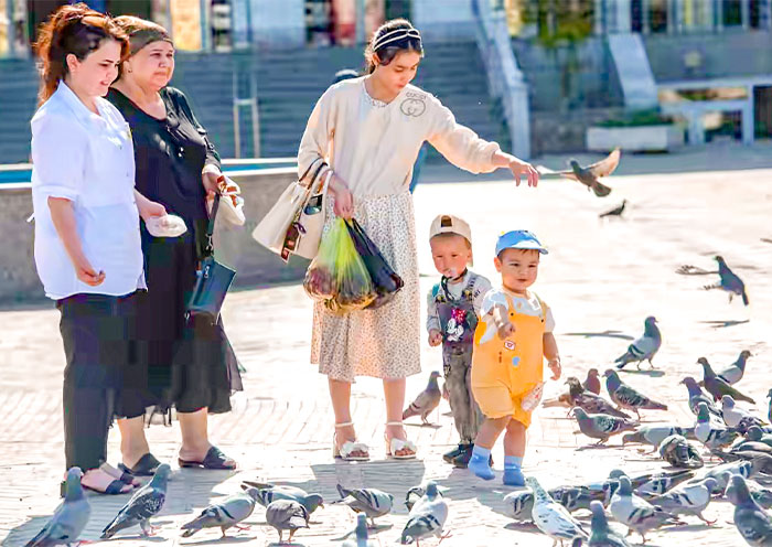 Sheikh Muslihiddin Complex