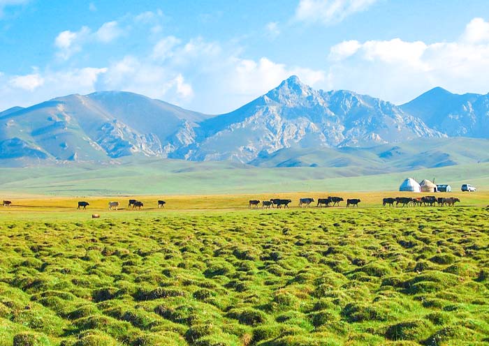 Kyrgyzstan Tours