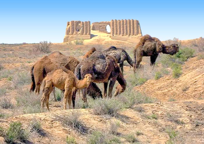 Turkmenistan Ancient Merv