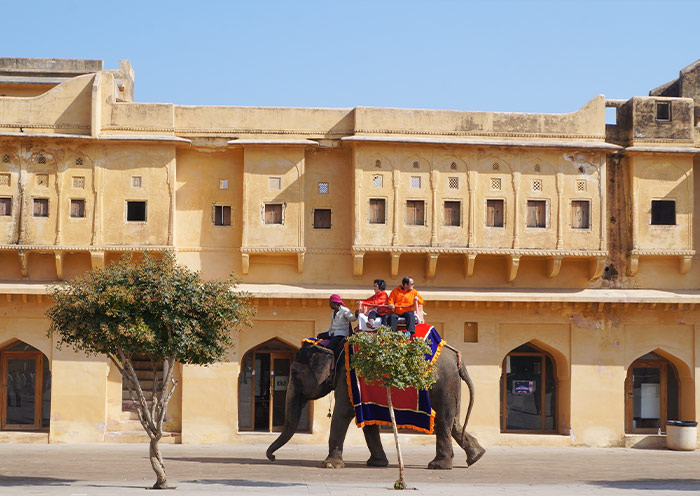 The elephant ride at Amber Fort, Jaipur