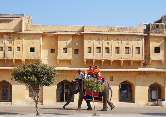 The elephant ride at Amber Fort, Jaipur The elephant ride at Amber Fort, Jaipur