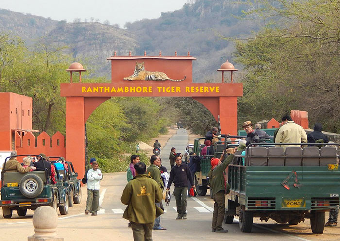 Jeep Safari, Ranthambore National Park