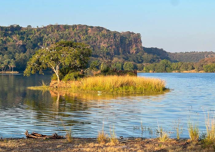 Birding in Ranthambore National Park