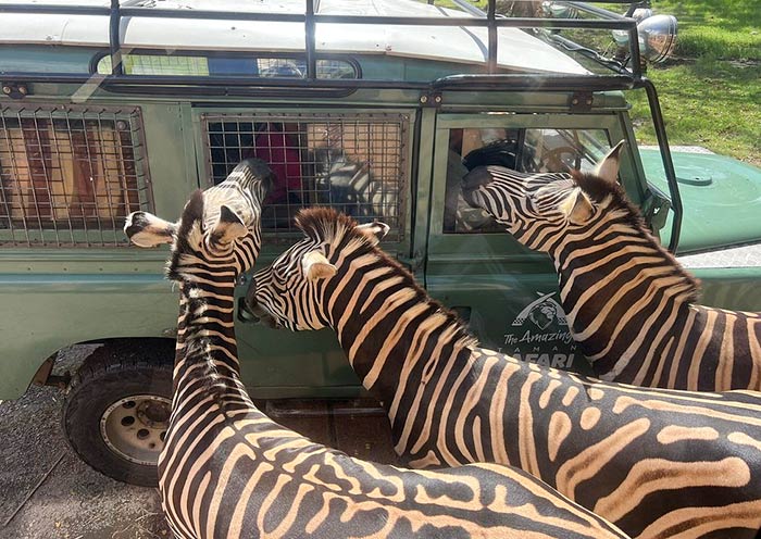 Bali Safari & Marine Park Bali Safari & Marine Park