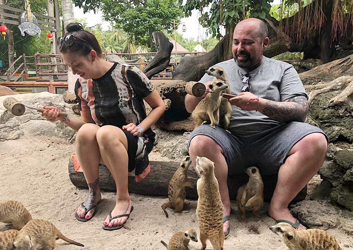 Bali Safari & Marine Park Bali Safari & Marine Park