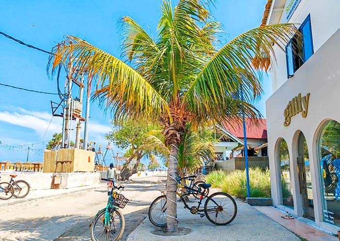 Gili Biking