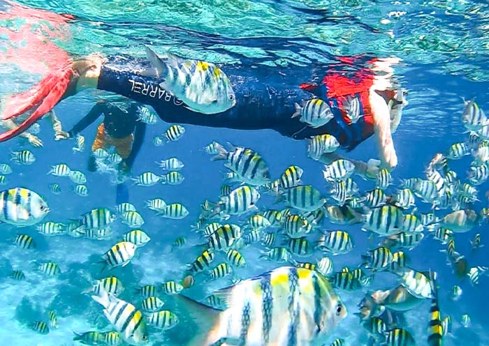 Gili Snorkeling