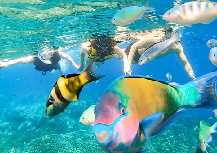 Gili Snorkeling Gili Snorkeling