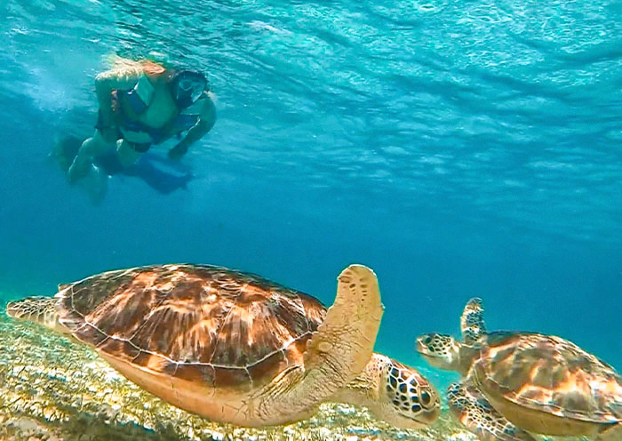 Gili Snorkeling