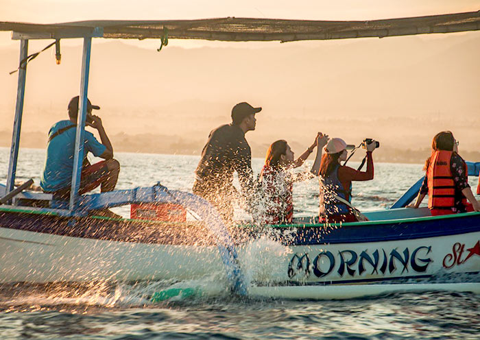 Dolphin Watching in Lovina Dolphin Watching in Lovina