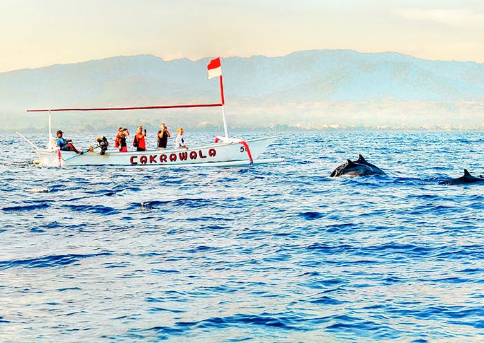 Dolphin Watching in Lovina