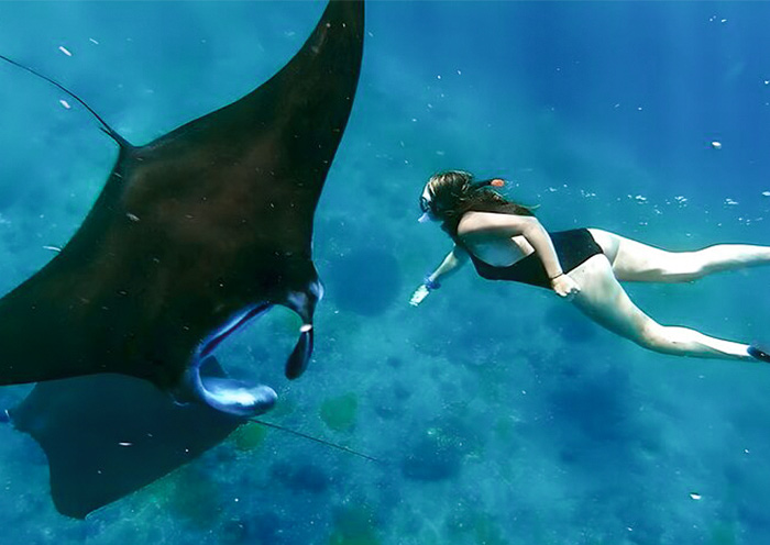 Snorkeling in Nusa Penida, Bali