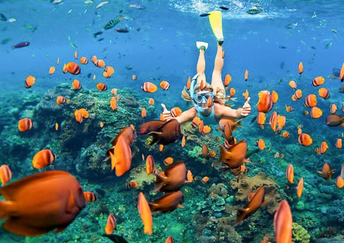 Snorkeling in Nusa Penida, Bali
