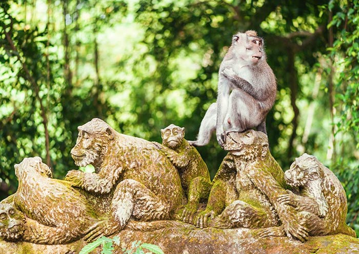 Sacred Monkey Forest Sanctuary Sacred Monkey Forest Sanctuary