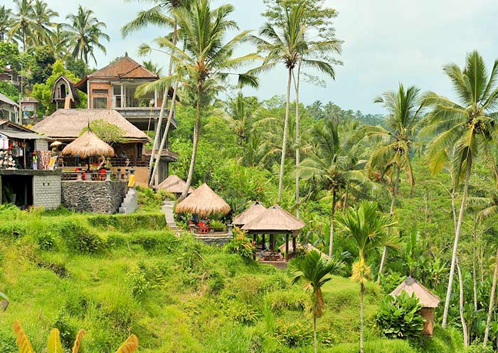 Tegalalang Rice Terraces in Ubud