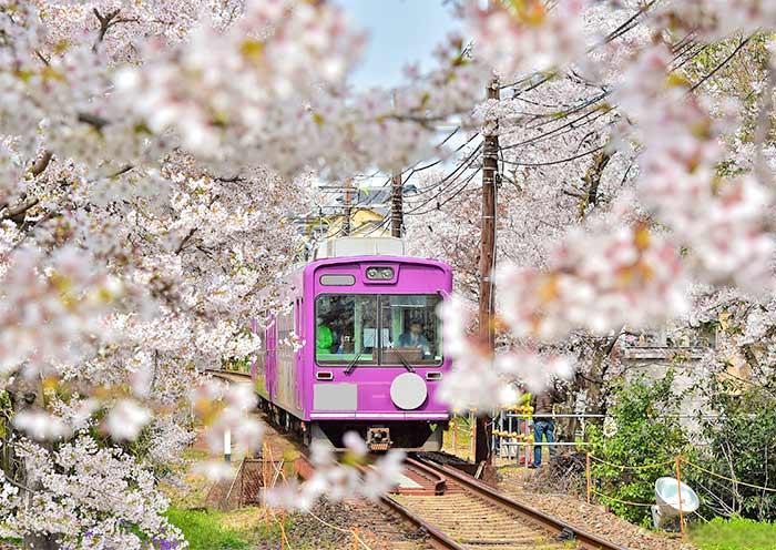 Sagano Scenic Railway, Kyoto