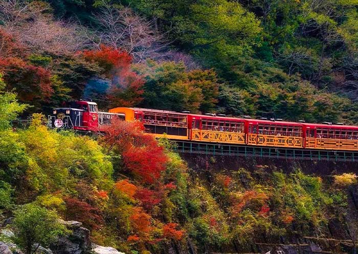 Sagano Scenic Railway, Kyoto Sagano Scenic Railway, Kyoto