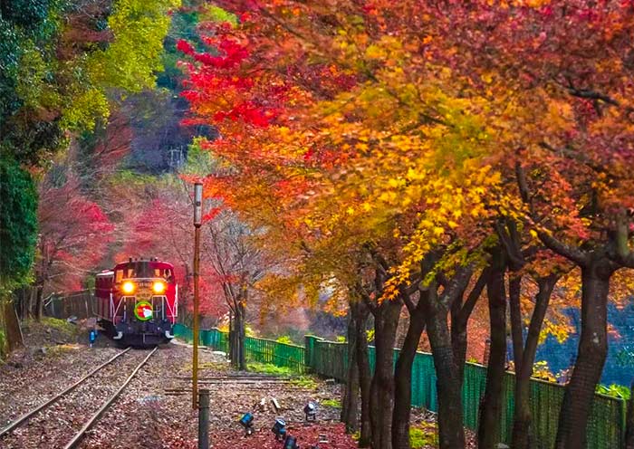 Sagano Scenic Railway, Kyoto