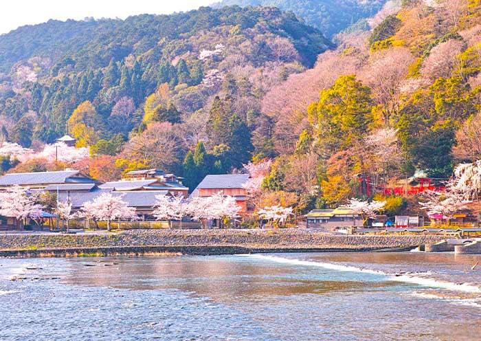 Arashiyama Area Arashiyama Area