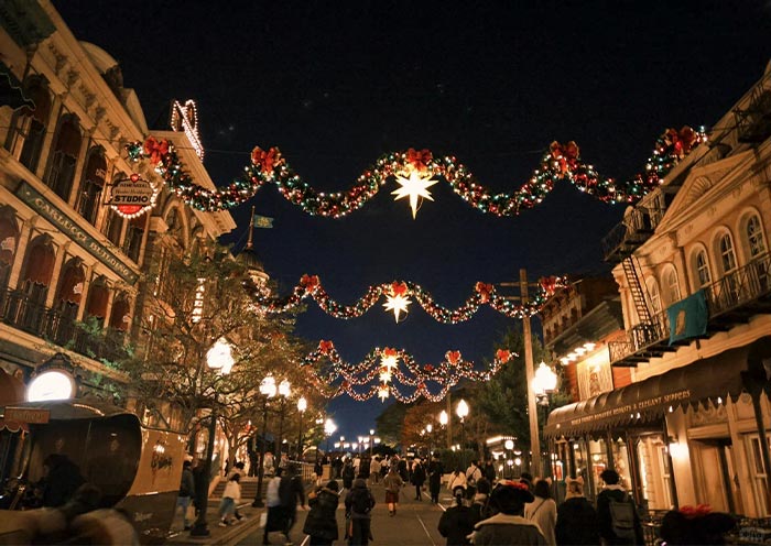 Christmas Night in Tokyo Disney