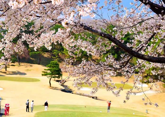 Daiatsugi Country Club Sakura Course
