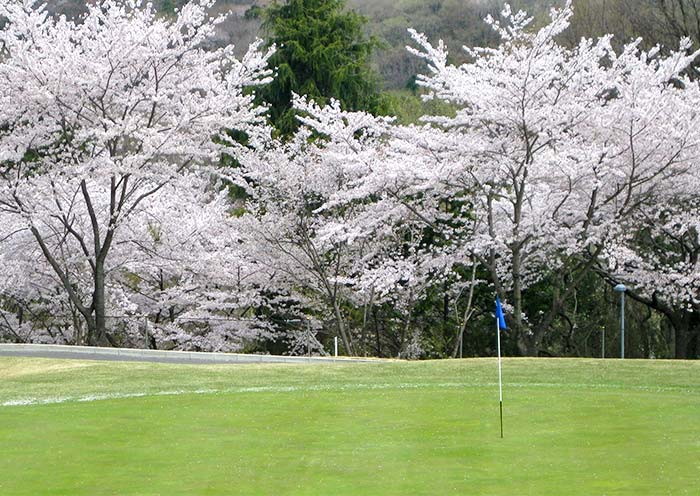 Daiatsugi Country Club Sakura Course