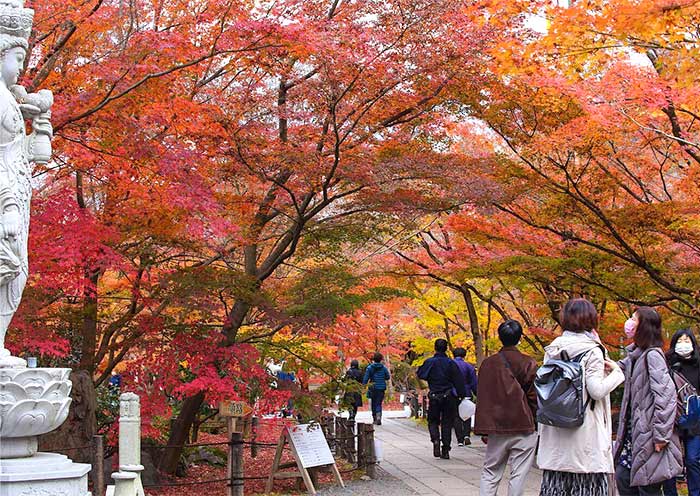 Eikando Zenrinji Temple, Kyoto