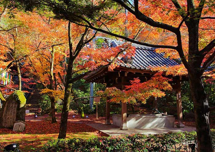 Eikando Zenrinji Temple, Kyoto