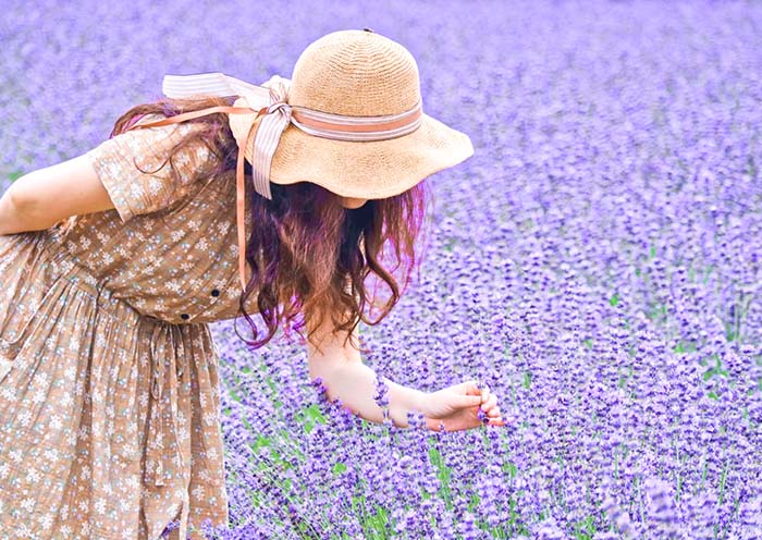 Farm Tomita