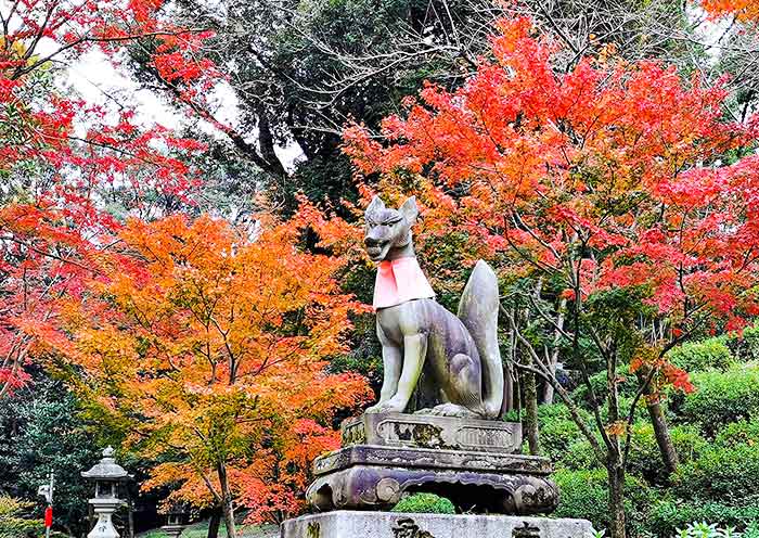 fushimi-inari-taisha-700-10.jpg