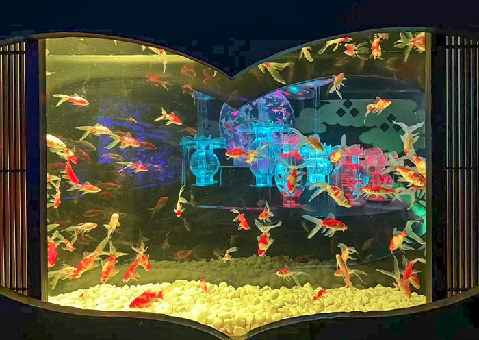 Ginza Art Aquarium, a Rainy Day Backup in Tokyo