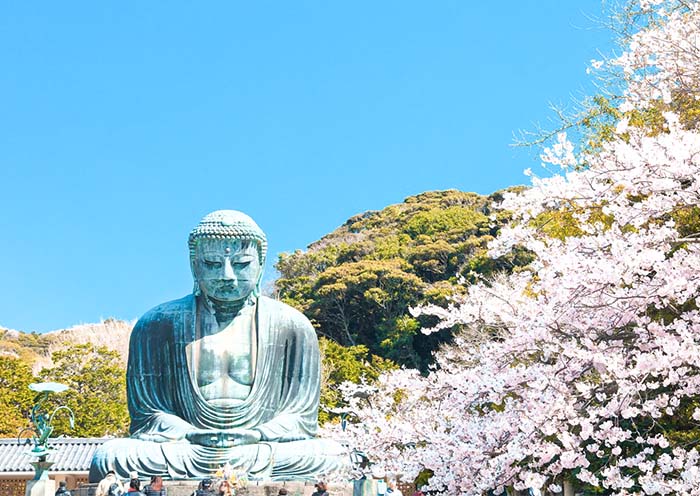Great Buddha of Kamakura
