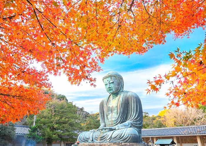 Great Buddha of Kamakura