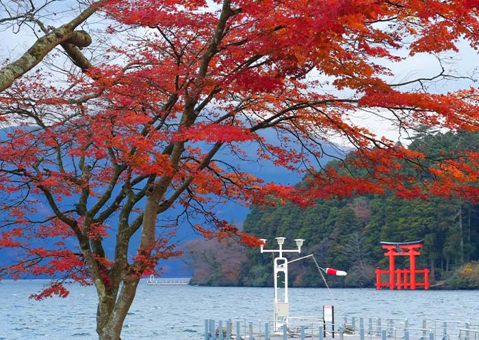 Lake Ashi of Hakone in autumn
